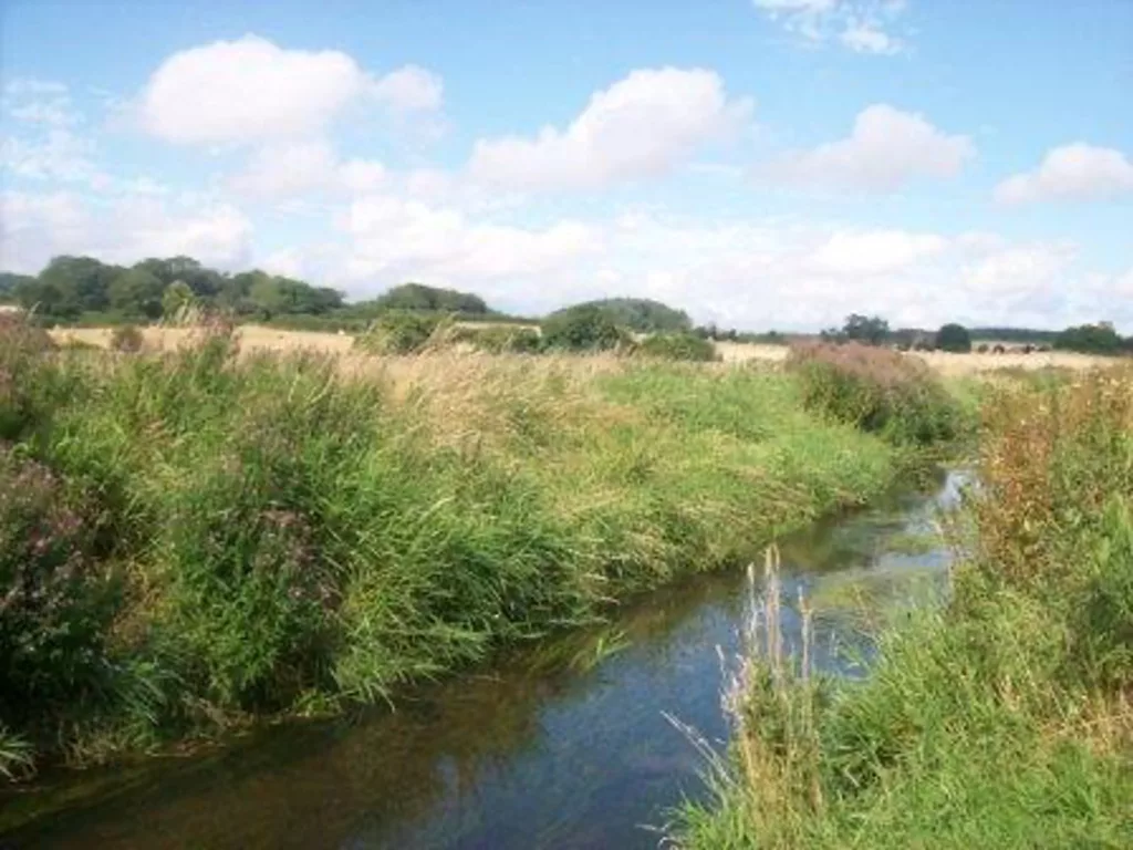 chalk river running through the countryside