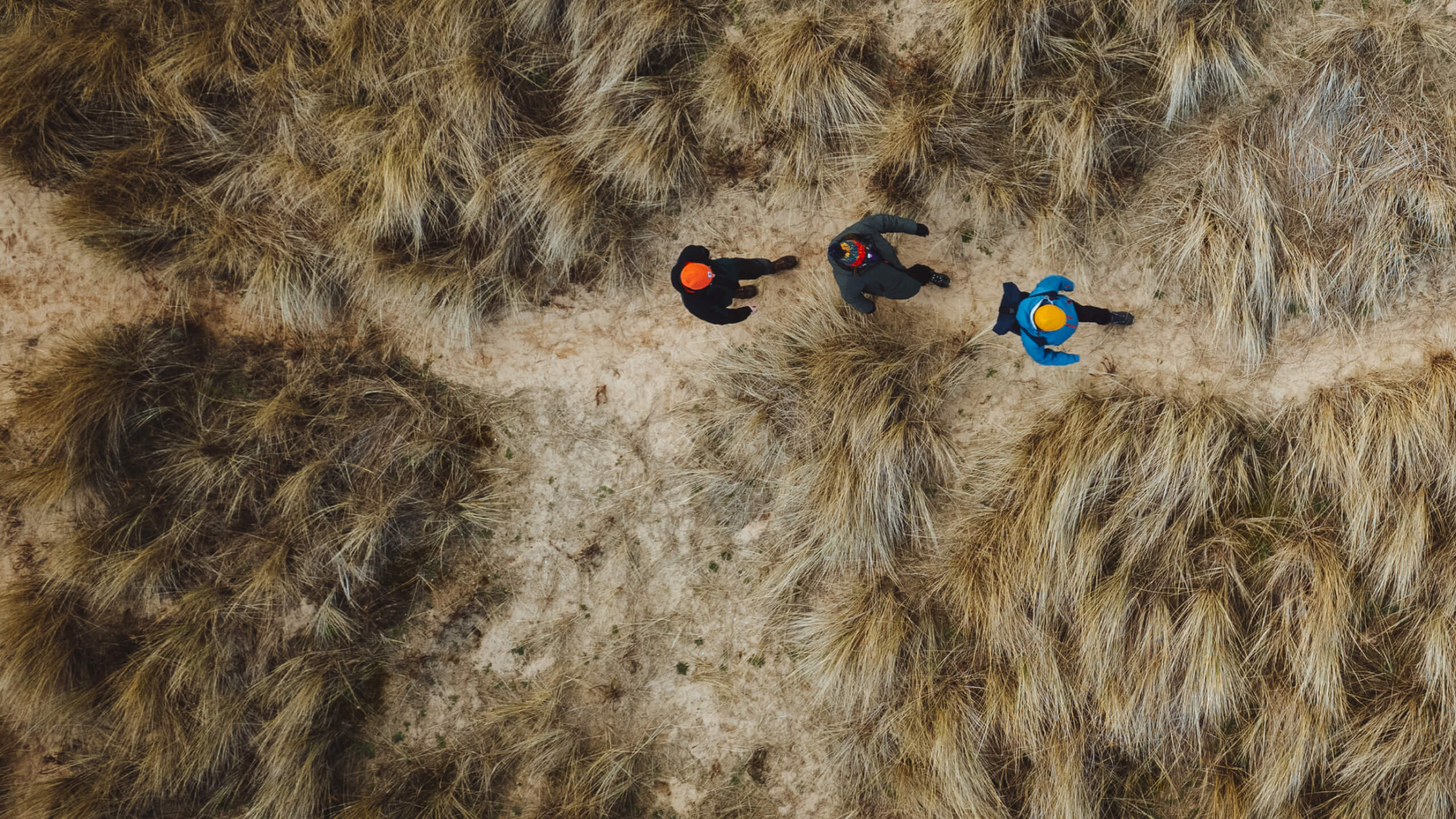 Three people walking on Holkham beach, through the dunes