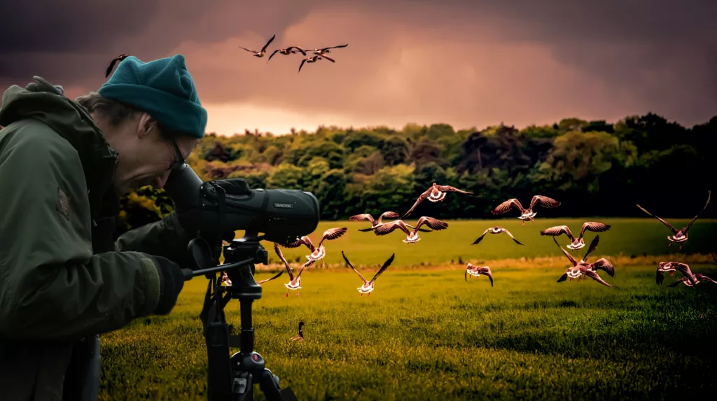 Man photographing flying geese