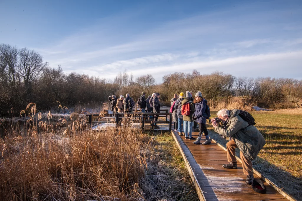 Inclusive RSPB Titchwell walk