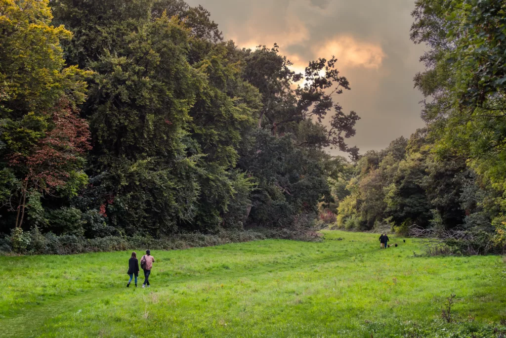 Ringstead Downs