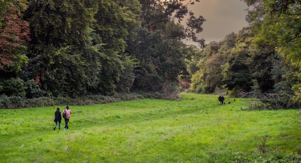 Ringstead Downs