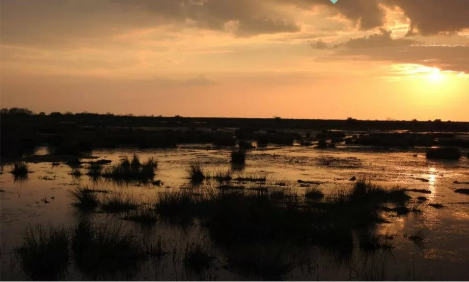 Dusk on the marsh