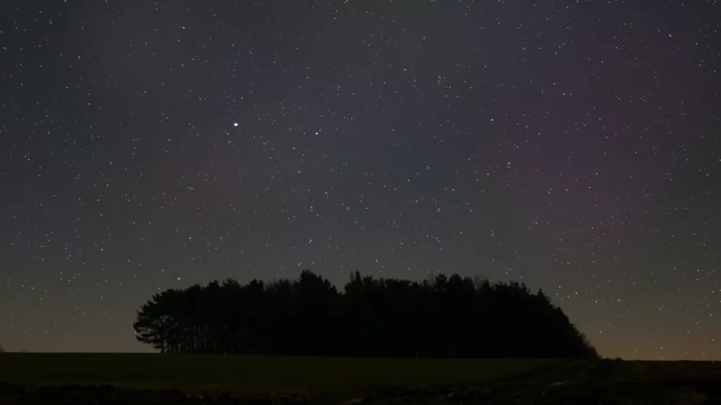 Starry sky over woodland