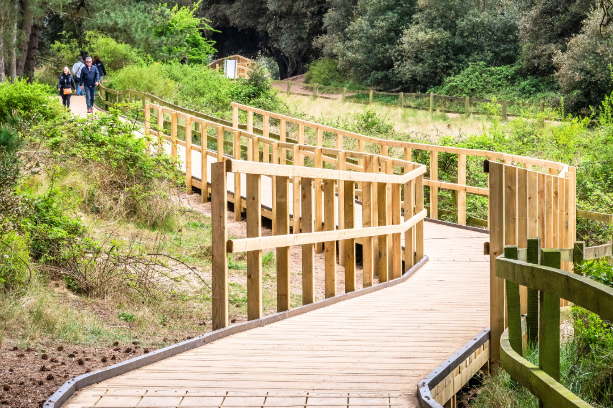 An image of the boardwalk, highlight the hand rails for accessibility and the antislip grips. The boardwalk is surrounded by greenery.