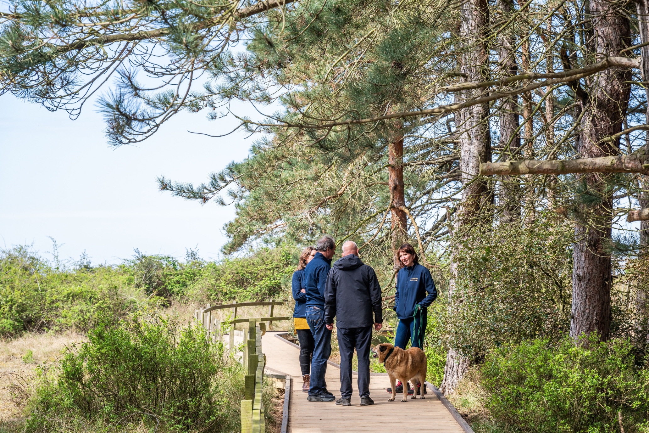 Four people standing talking on the boardwalk and admiring the views. They are surrounded by coastal plants and huge pine trees.