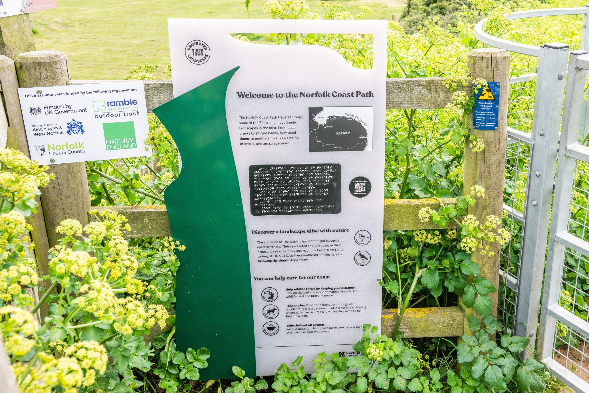 One of the new interpretation panels placed along a walking route. There is alot of greenery around it and it is a smaller panel with text, braille and then an irregular shape to the left of the text which is dark green.