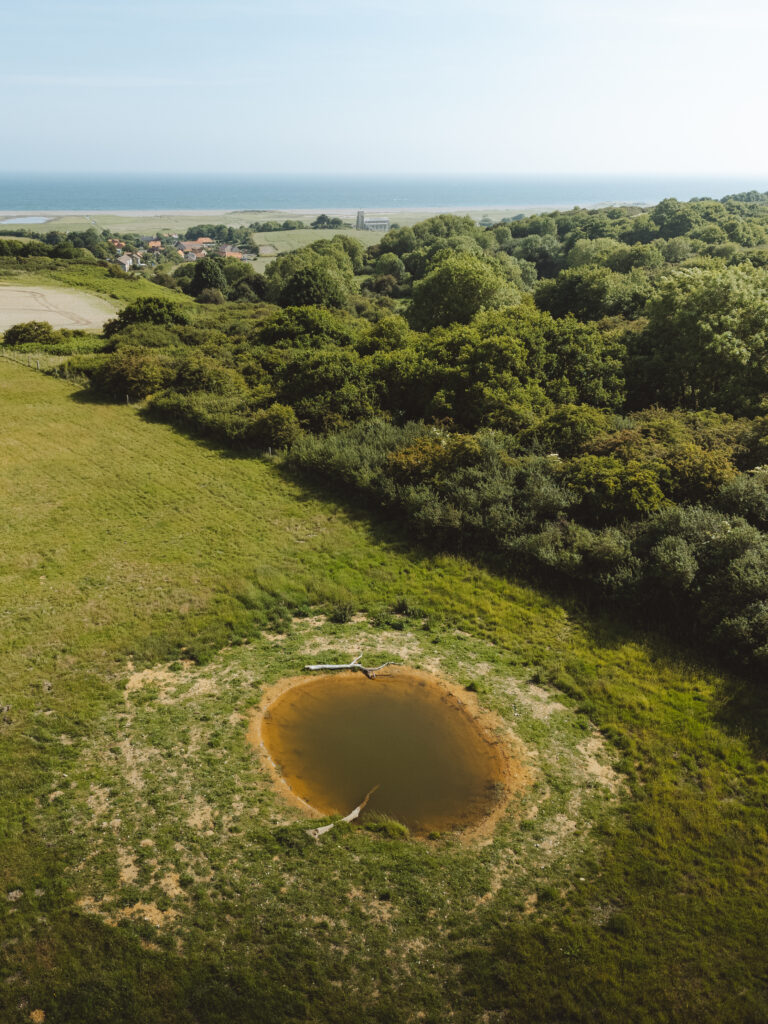 Pond to help encourage turtle doves to breed taken from an aerial view