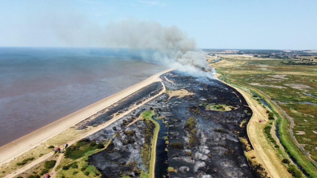 Drone image of wildfire at Wild Ken Hill on the Coast.